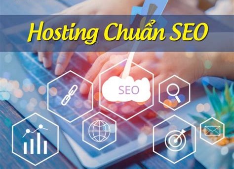 Phân tích tốc độ phản hồi hosting ảnh hưởng đến SEO thế nào?